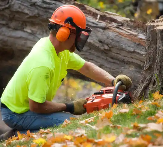 tree services Lewistown